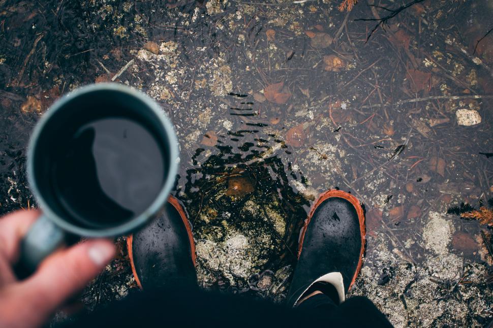 Free Image of Person Holding a Cup of Coffee 