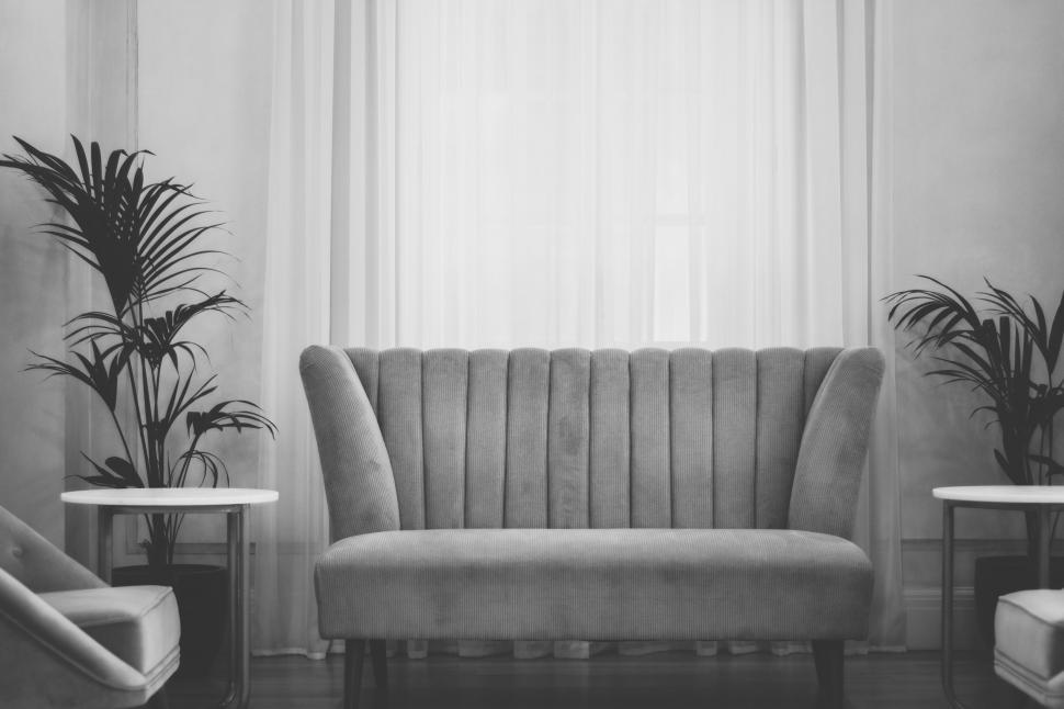 Free Image of Elegant Black and White Living Room 