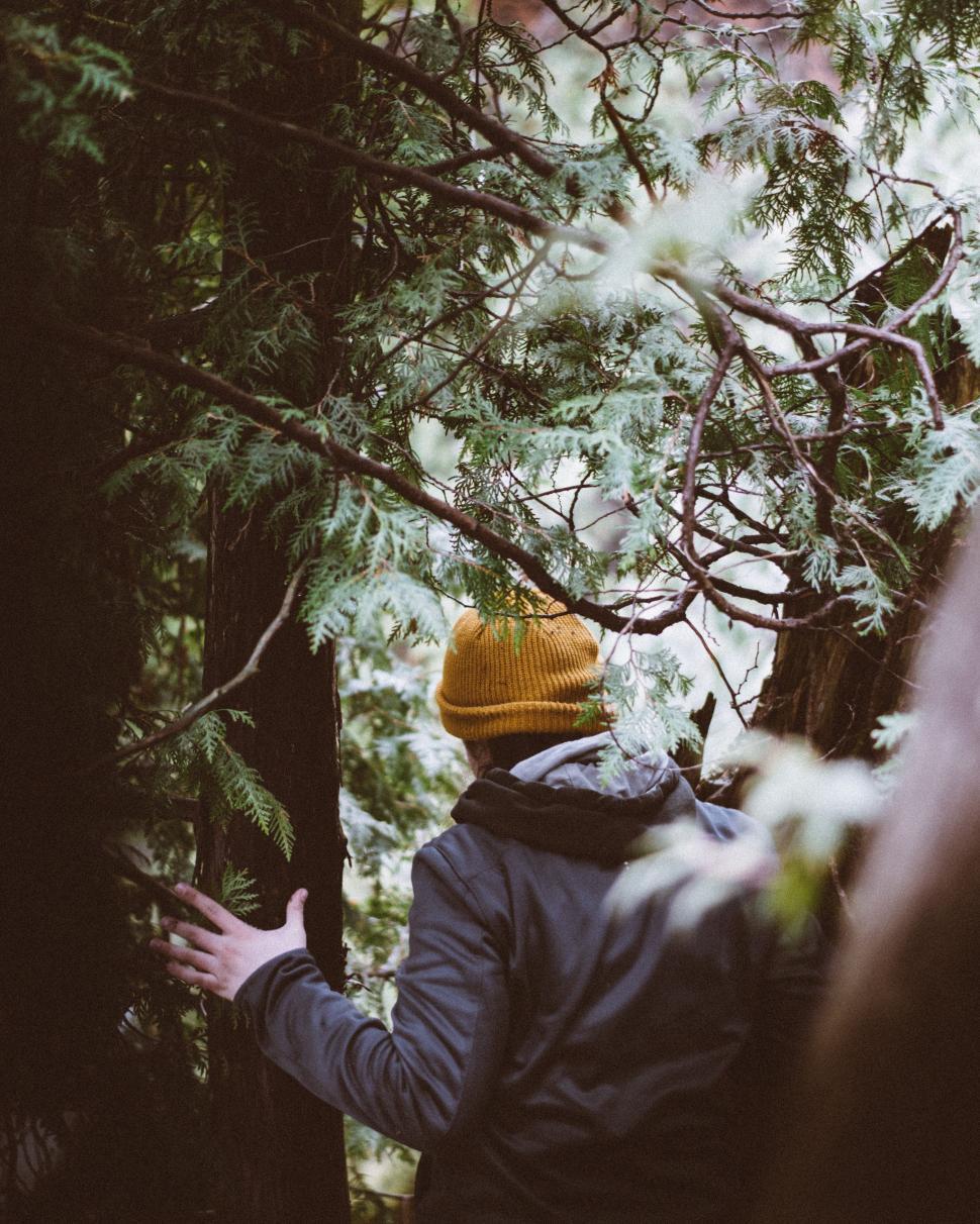 Free Image of Man Wearing Yellow Hat Standing in Forest 