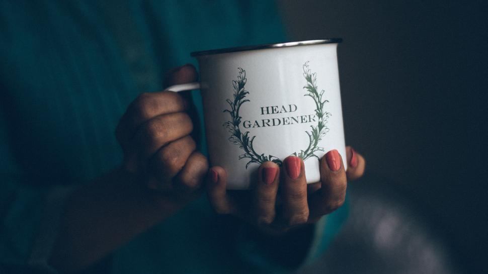 Free Image of Person Holding a Coffee Mug 