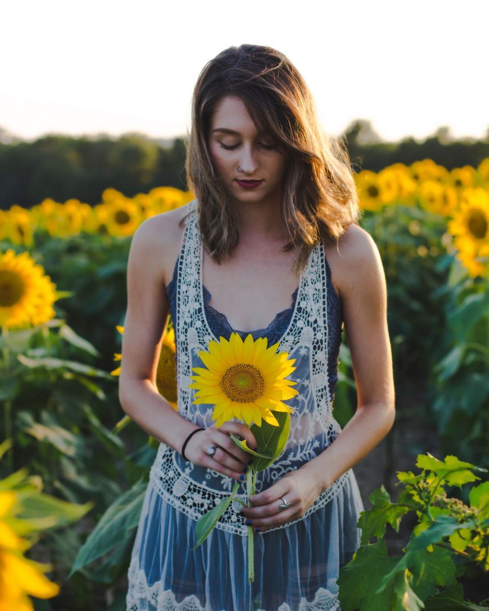 Free Image of Woman Standing in a Field of Sunflowers 