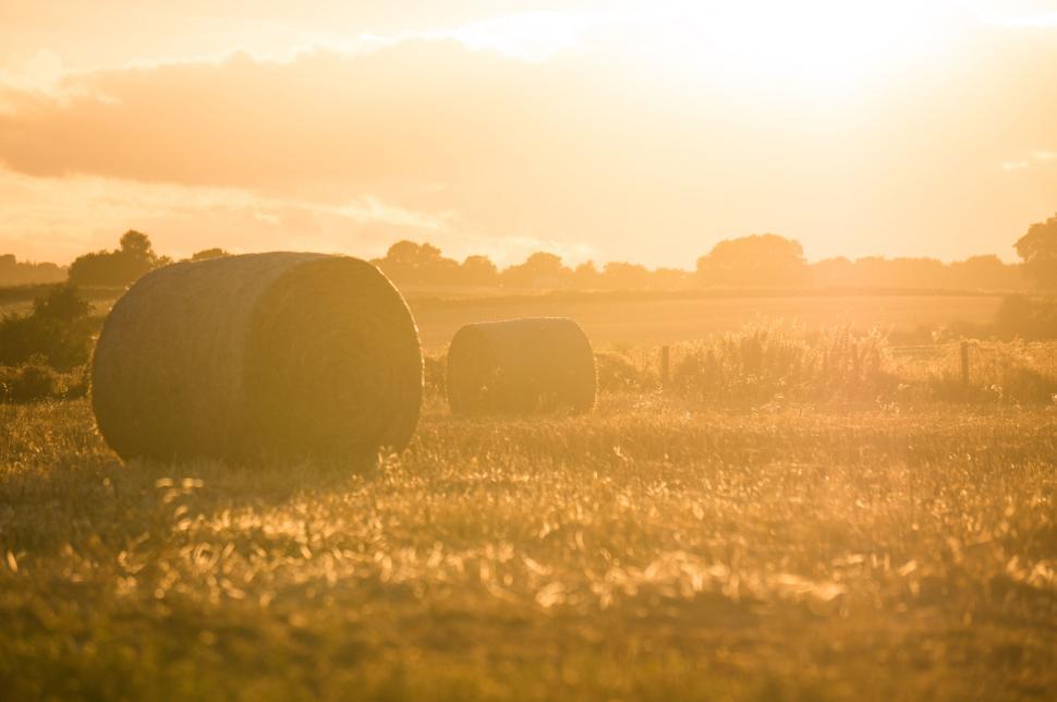 Free Image of Field With Hay Bales at Sunset 