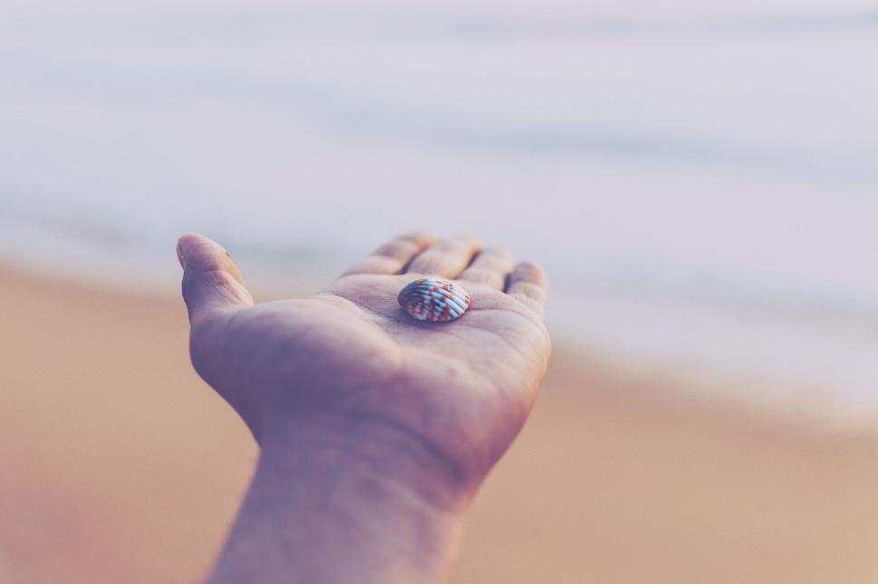 Free Image of Hand Holding Seashell on Beach 