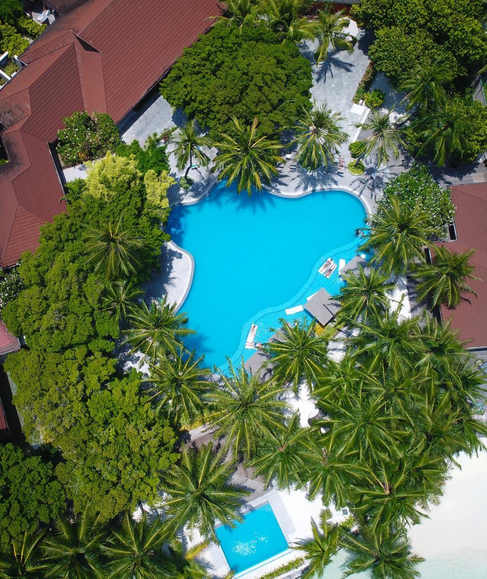 Free Image of Aerial View of Pool Surrounded by Palm Trees 