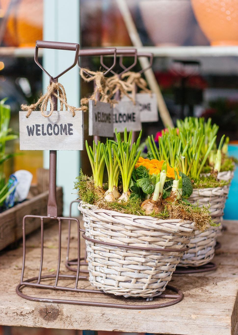 Free Image of Table With Baskets of Vegetables and Welcome Sign 