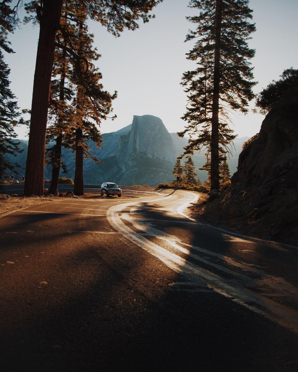 Free Image of Car Driving Down Road Next to Tall Trees 