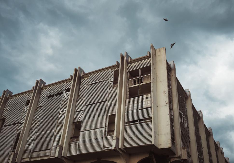 Free Image of Historic Building With Bird in Flight 