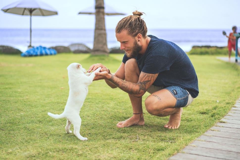 Free Image of Man Playing With Small White Dog 
