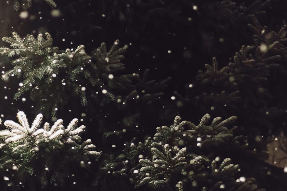Free Image of Falling Snow Flakes in Black and White 