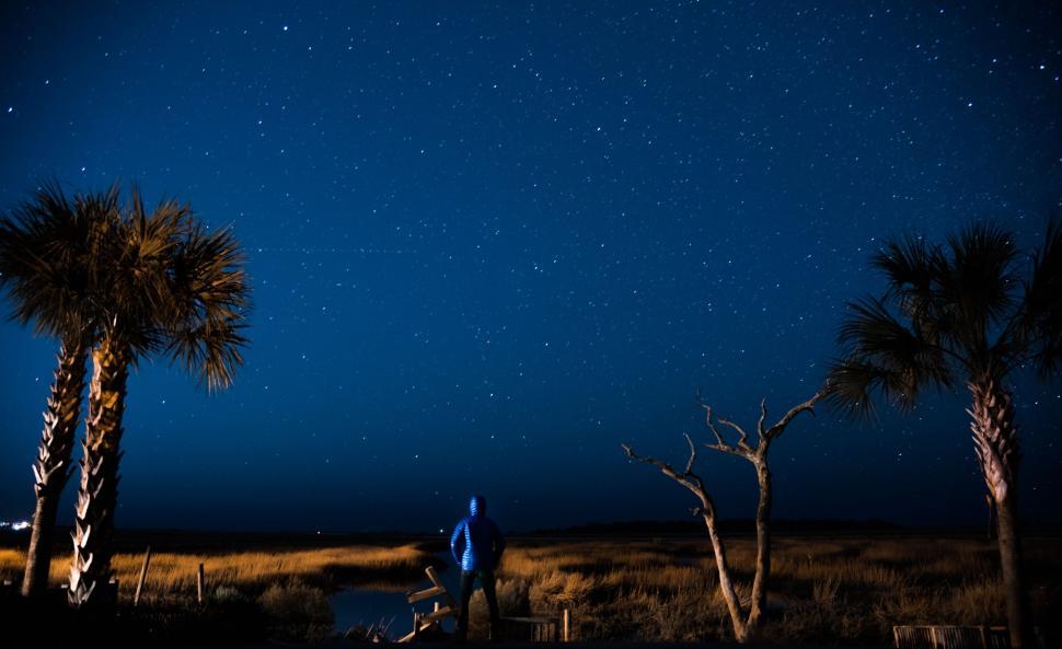 Free Image of Person Standing in Field Under Night Sky 