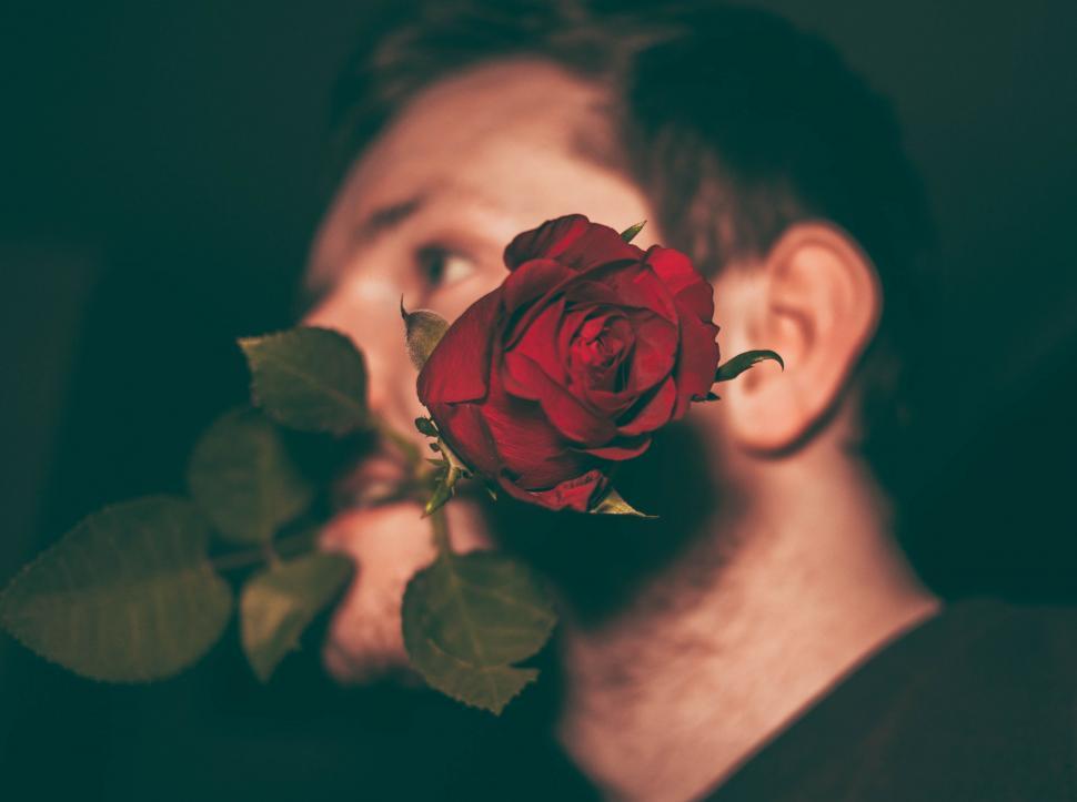 Free Image of Man Holding Red Rose in Mouth 