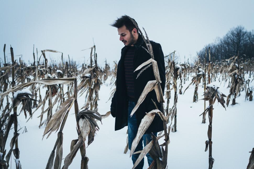 Free Image of Man Standing in the Middle of a Corn Field 