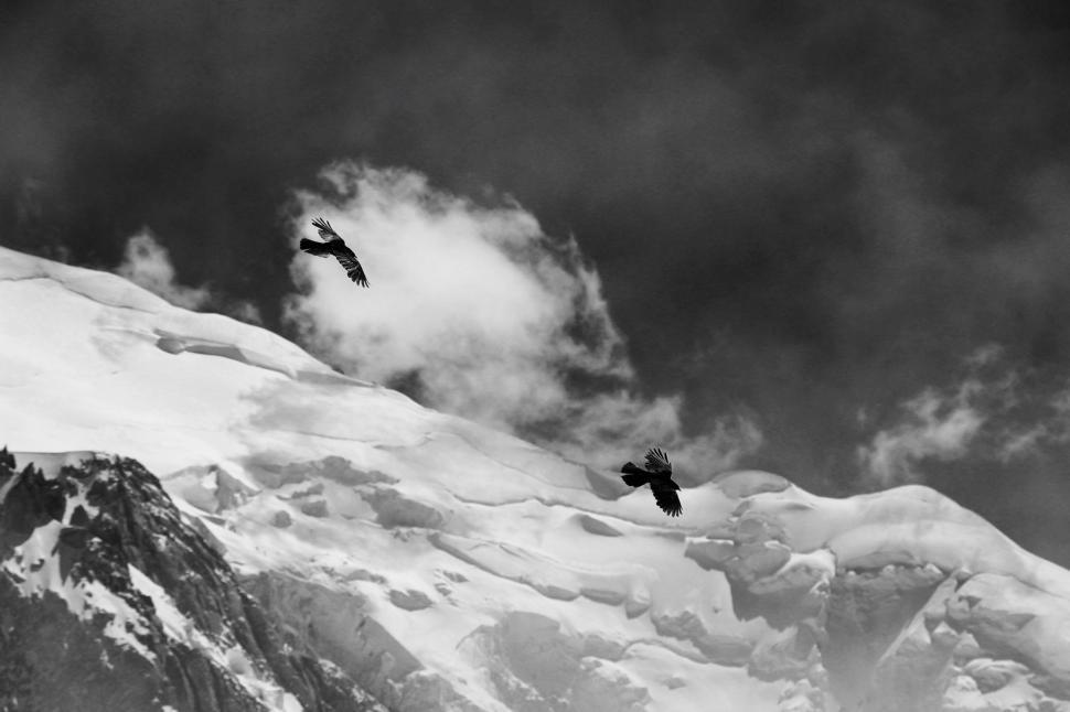 Free Image of Birds Flying Over a Mountain 