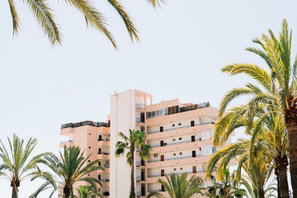 Free Image of Modern Building With Palm Trees 