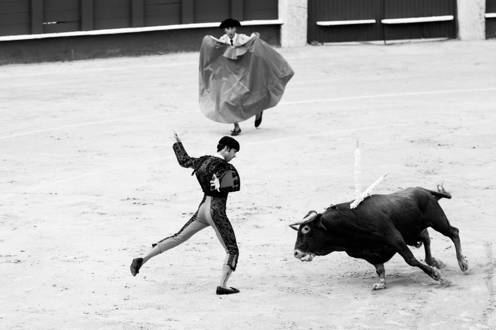 Free Image of People Running Around Bull 