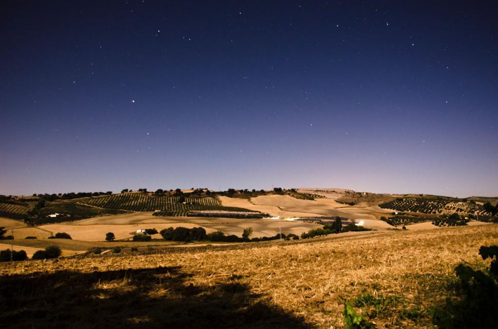 Free Image of Field Under Starry Night Sky 