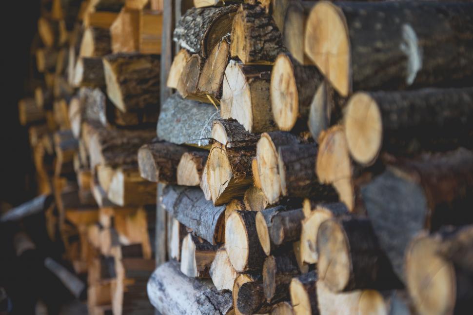 Free Image of Stack of Logs Arranged Neatly 