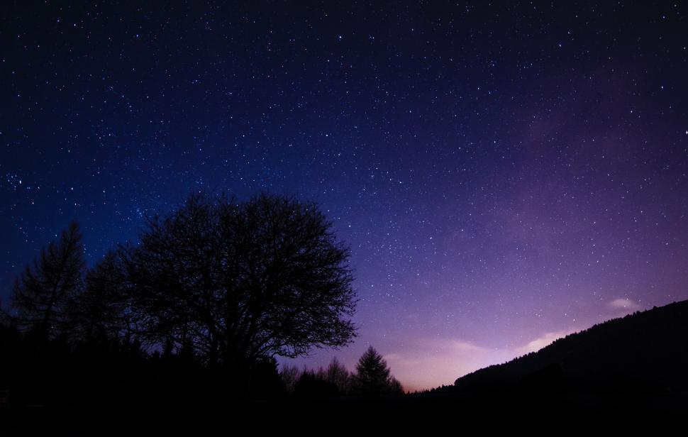 Free Image of Starry Night Sky With Tree 