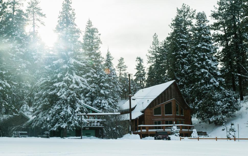 Free Image of Cabin Nestled in Snowy Forest 