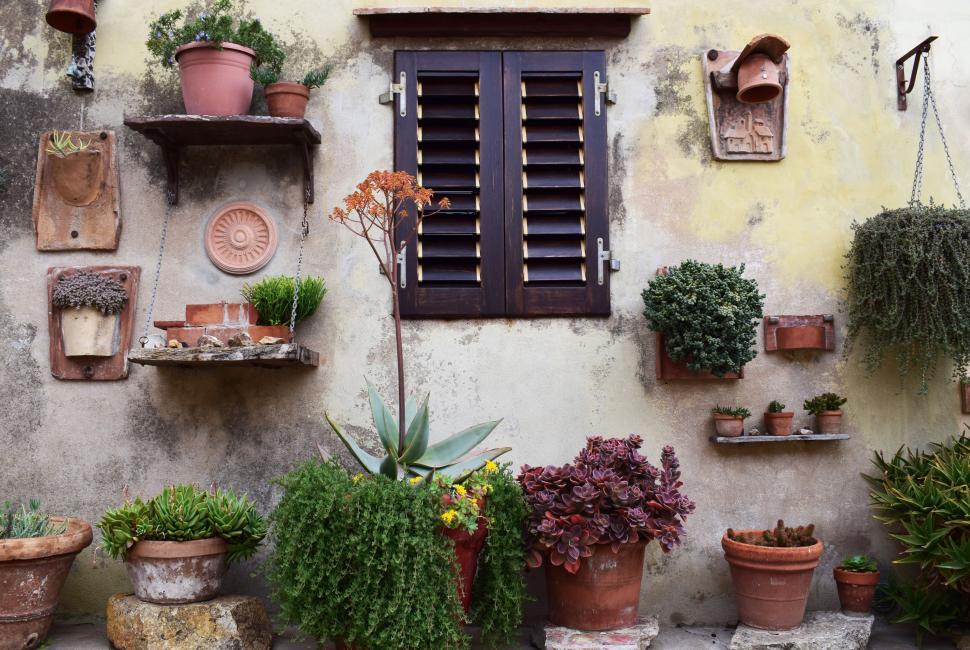 Free Image of Group of Potted Plants on Wall 