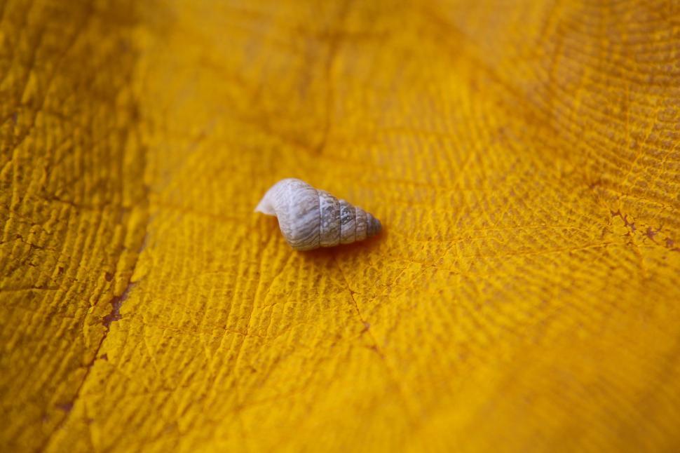 Free Image of White Object on Yellow Surface 