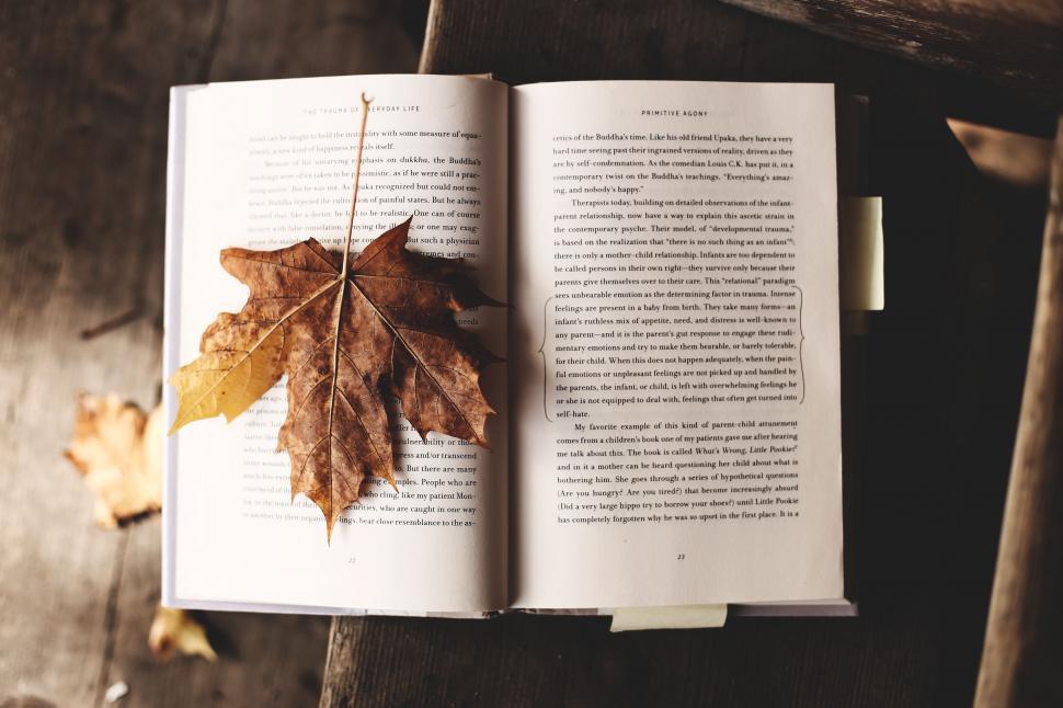 Free Image of Open Book With Leaf 