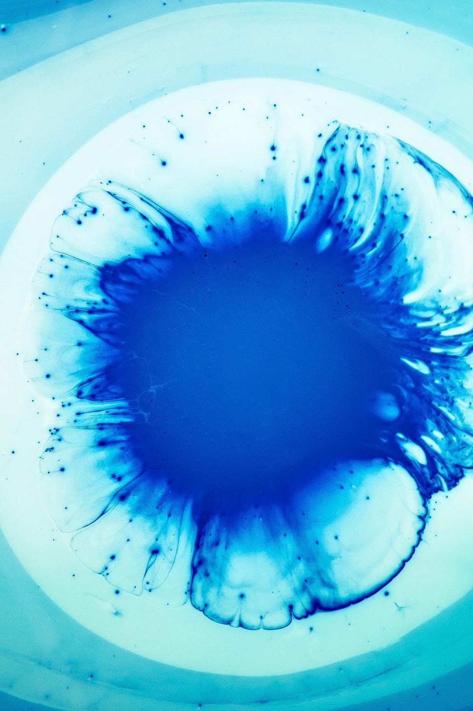 Free Image of Close Up of Blue Substance Dissolving in Water 