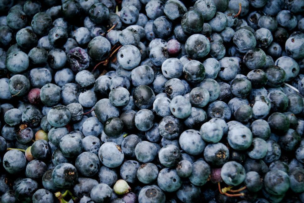 Free Image of A Pile of Blueberries on Top of a Table 