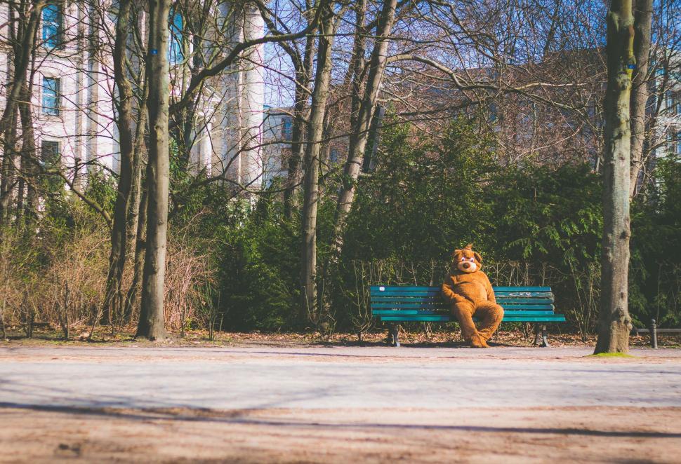 Free Image of Dog Sitting on a Bench 