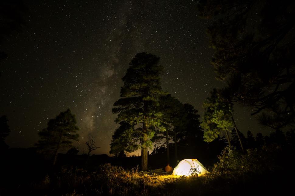 Free Image of Illuminated Tent in Night Woods 