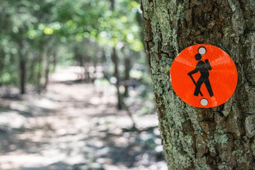 Free Image of Sign Attached to Tree in Forest 