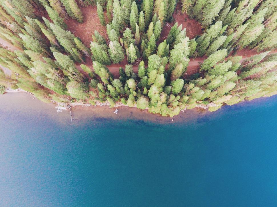 Free Image of Aerial View of Lake Surrounded by Trees 