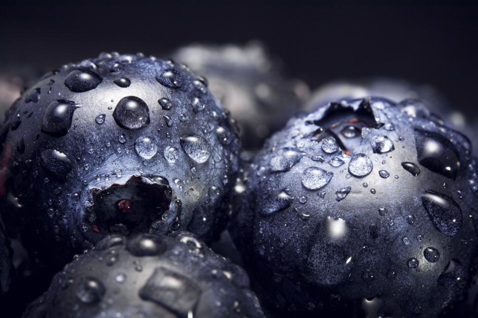 Free Image of Fresh Blueberries Covered in Water Droplets 
