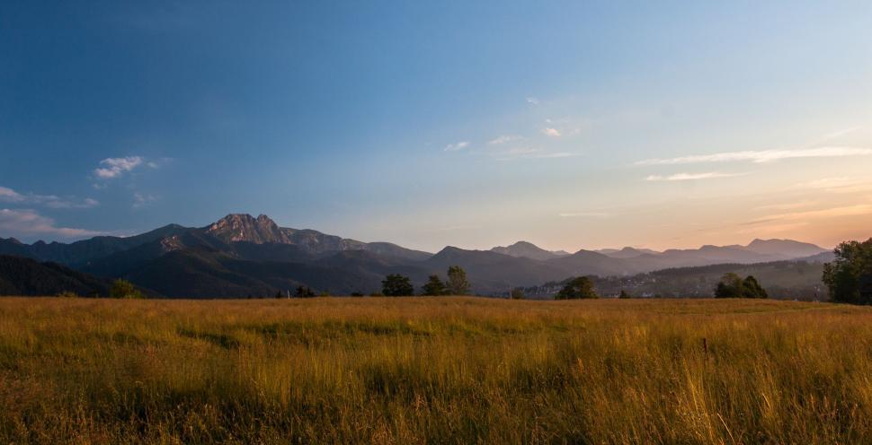 Free Image of Grassy Field With Mountains in the Background 