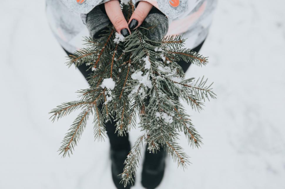 Free Image of Person Sitting in Snow Holding Plant 