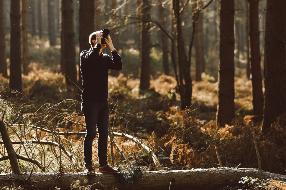 Free Image of Person Standing on Log in Woods 