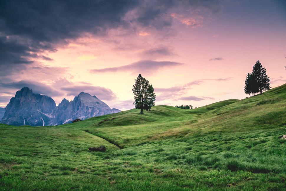 Free Image of Grassy Hill With Trees and Mountains 