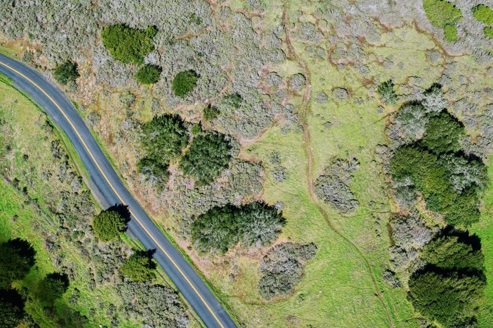 Free Image of Aerial View of a Winding Road Through a Forest 