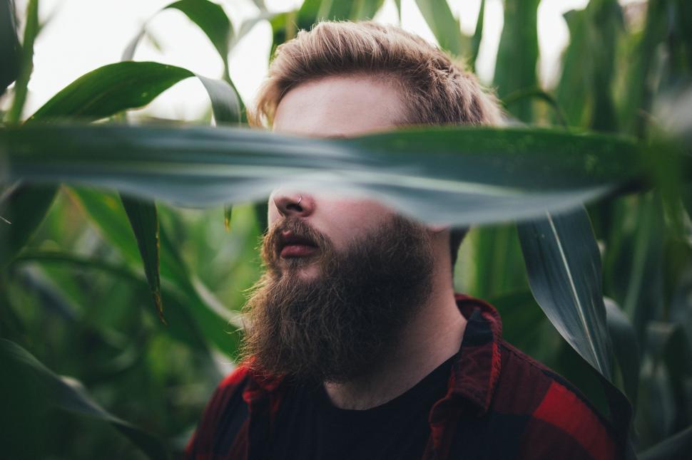 Free Image of Man Standing in Corn Field 