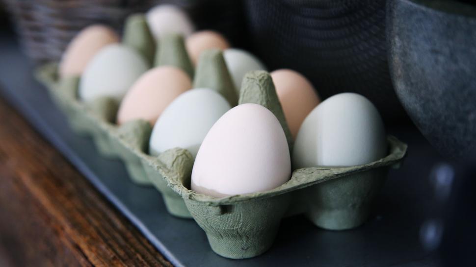 Free Image of Carton of Eggs on Counter 