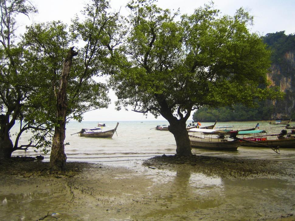 Free Image of boats on the shore 