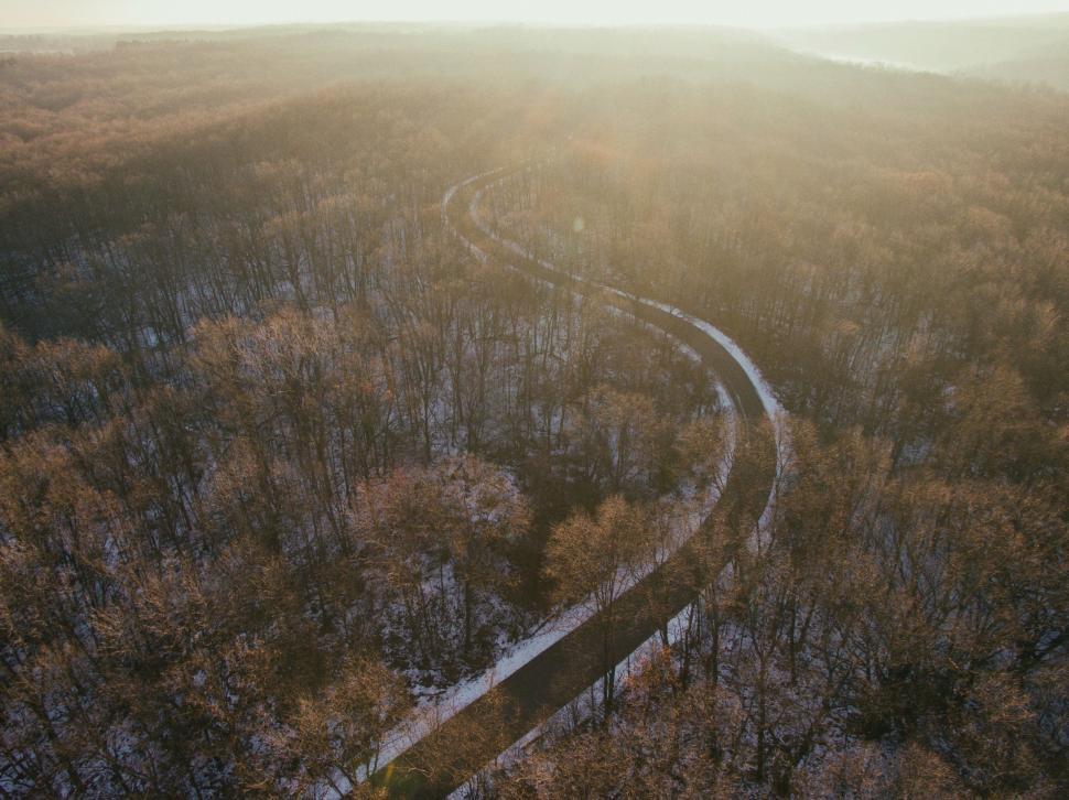 Free Image of Aerial View of a Winding Road in the Woods 