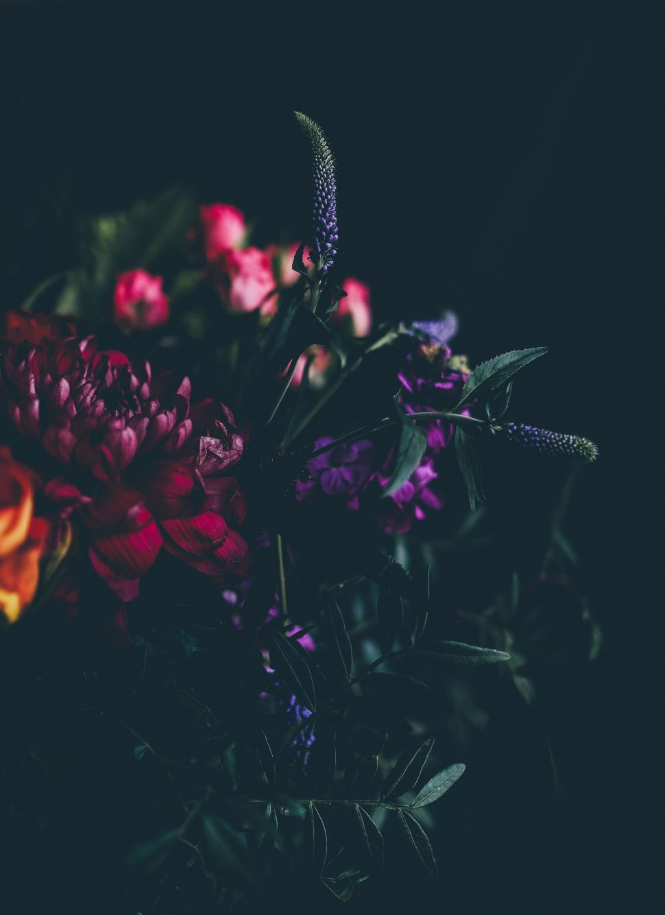Free Image of Collection of Various Flowers Arranged in a Vase 