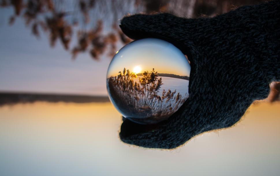 Free Image of Holding Glass Ball Reflecting Trees 