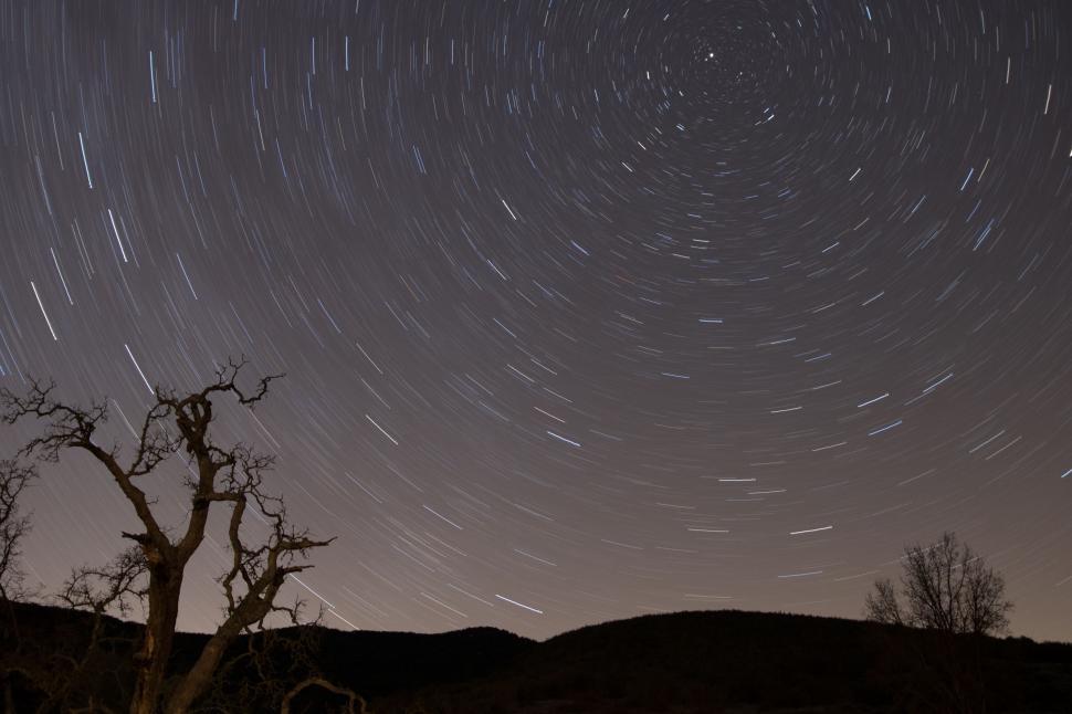 Free Image of Tree With Star Trail in Sky 