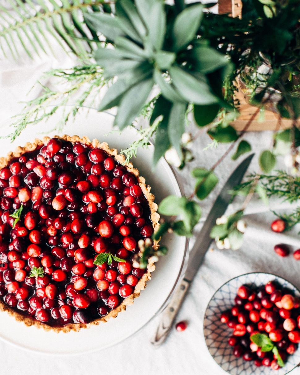 Free Image of Cranberry Tart and Berries on Plate 