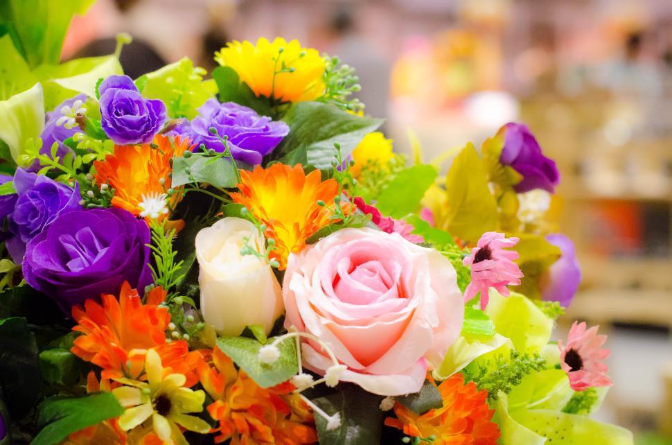 Free Image of Many Colorful Flowers on display 