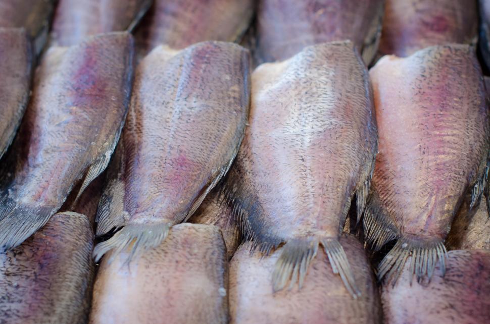 Free Image of Fried fish in display 
