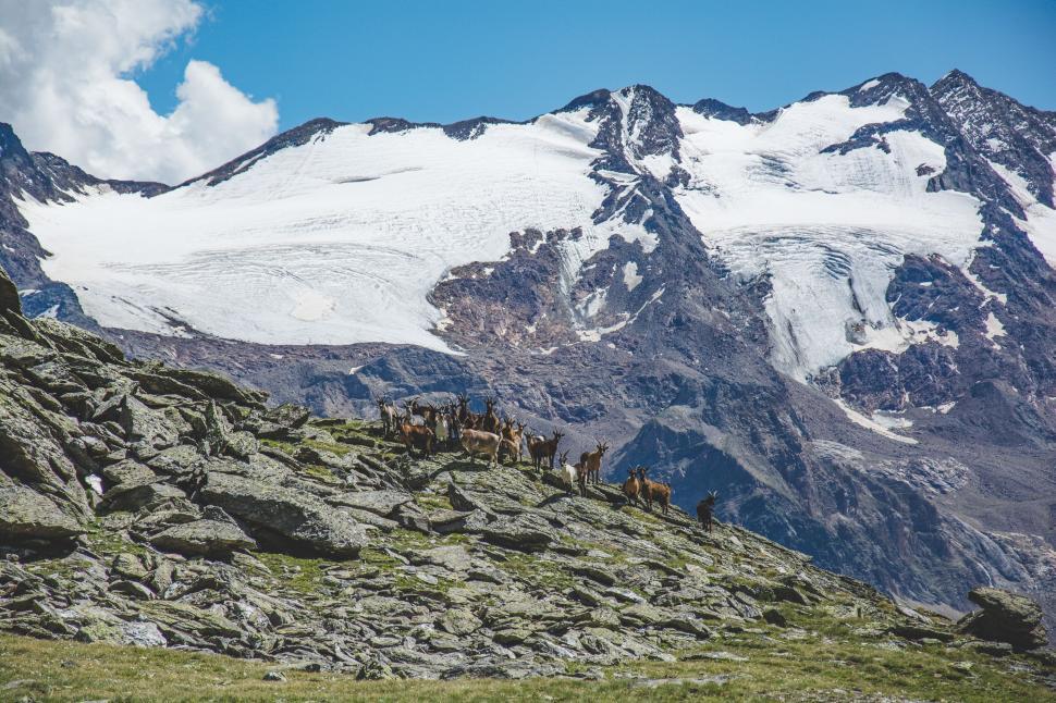 Free Image of Group of People Hiking Up the Side of a Mountain 