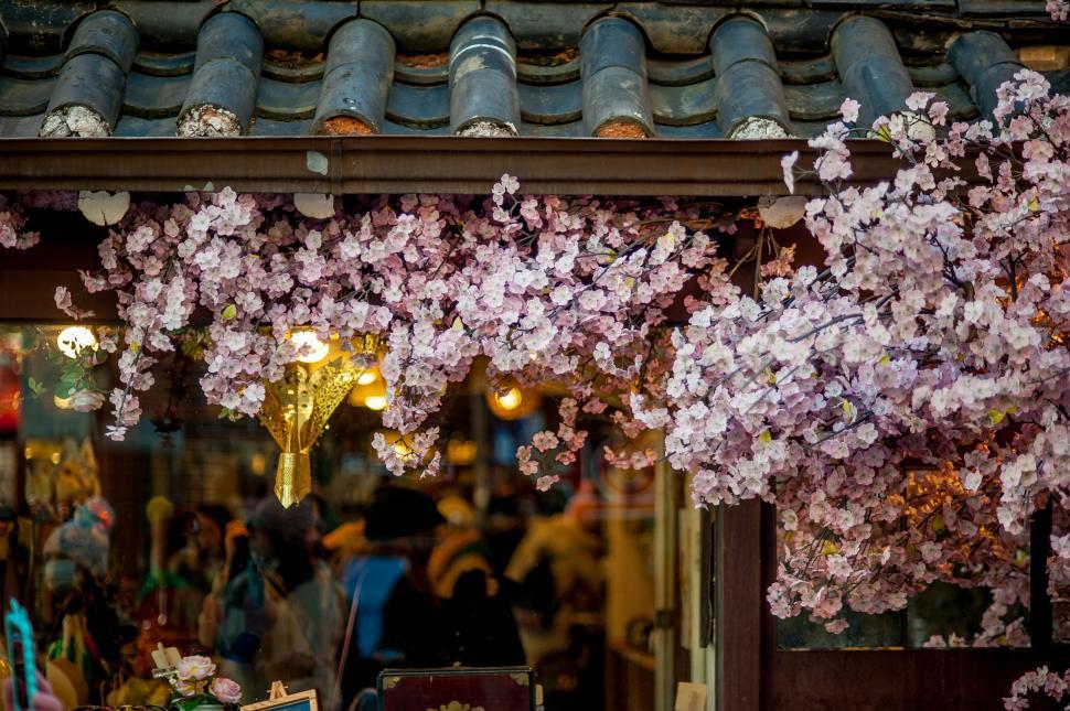 Free Image of Storefront Adorned With Pink Flowers 